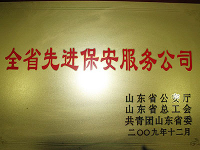 2009年全省先進(jìn)保安服務(wù)公司